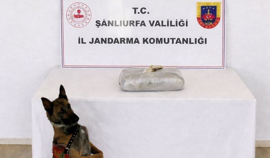 Şanlıurfa'da narkotik operasyonu: 1 kilo 222 gram esrar ele geçirildi