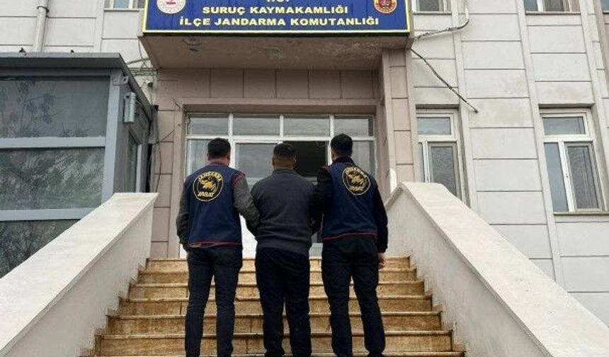Suruç'ta dolandırıcılıktan aranan şahıs yakalandı