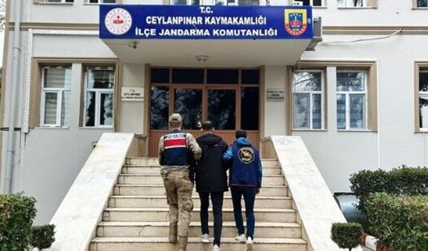 Yağma Suçundan Aranan Hükümlü Ceylanpınar'da Yakalandı