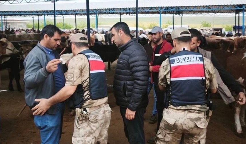Şanlıurfa’da Hayvan Pazarlarında Bayram Tedbirleri Artırıldı