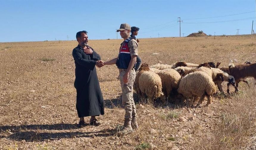 Şanlıurfa'da Drone Destekli Aramayla Kayıp Hayvanlar Bulundu