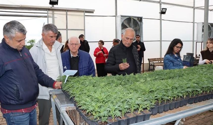 TBB Heyeti, Şanlıurfa’da Büyükşehir’in Tarımsal Üretimini İnceledi
