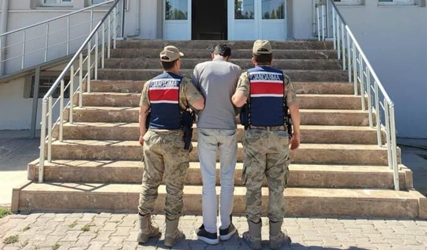 Dolandırıcılık suçundan aranıyordu, Harran'da yakalandı