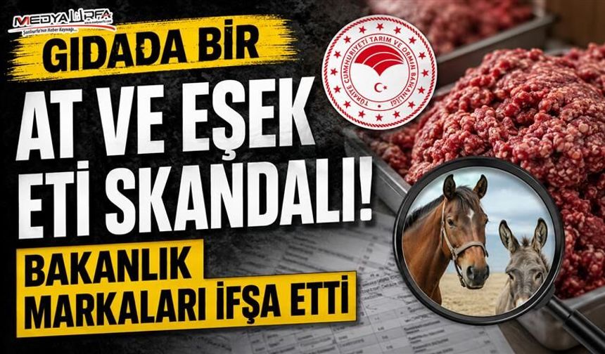 Gıdada Yeni Usulsüzlükler Ortaya Çıktı