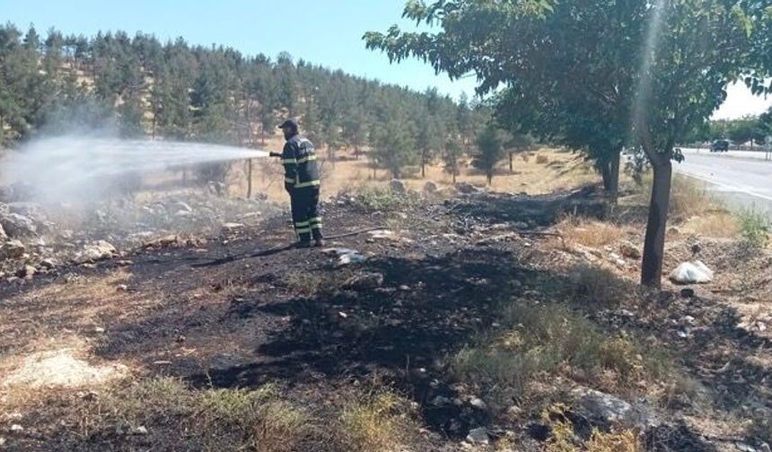 Şanlıurfa'da Orman Yangını: İtfaiyenin Müdahalesiyle Söndürüldü