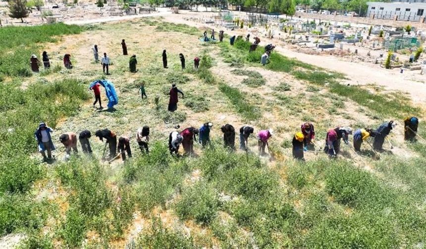 Harran’da Mezarlıklarda Kapsamlı Temizlik Çalışması