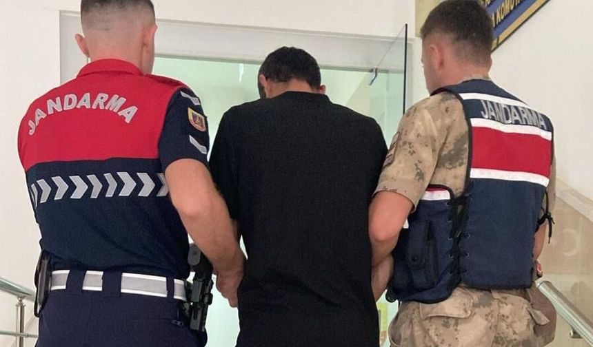 Şanlıurfa'da Dolandırıcılık Hükümlüsü Jandarmadan Kaçamadı
