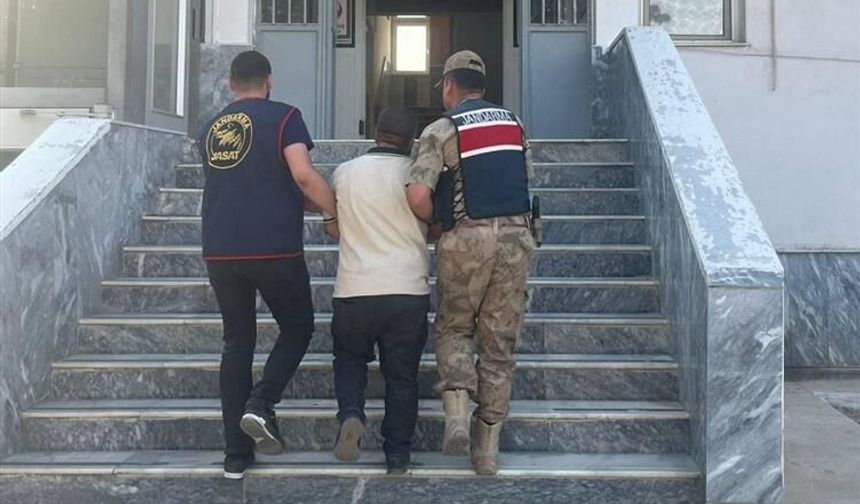 Birecik'te Aranan Hükümlü Jandarma Operasyonuyla Yakalandı