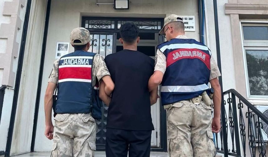 Şanlıurfa’da Hırsızlık Hükümlüsü Jandarma Operasyonuyla Yakalandı