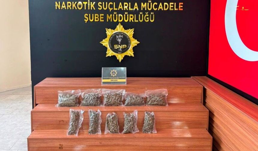 Şanlıurfa'da 2 Kilo 600 Gram Skunk Ele Geçirildi: 1 Tutuklama