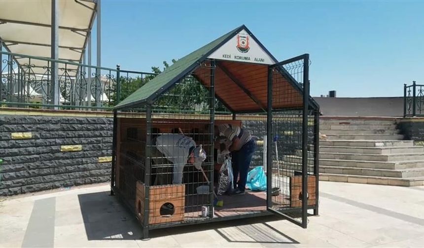 Şanlıurfa’nın 12 farklı noktasına kedi evi kuruldu