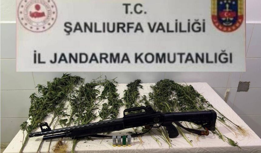 Harran’da 10 Yıl Kesinleşmiş Hapis Cezası Bulunan Şahıs Yakalandı