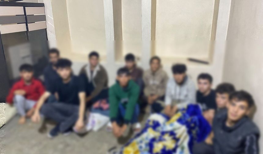 Şanlıurfa’da göçmen kaçakçılığı operasyonu